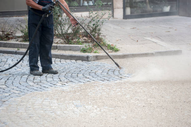 Best Concrete Surface Cleaning in Lake Ripley, WI